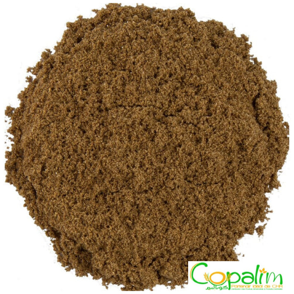 CORIANDRE MOULUE ARAOUAA 250GR