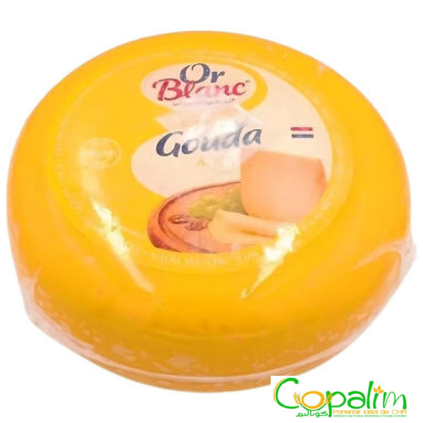 FROMAGE GOUDA JEUNE OR BLANC AU KG
