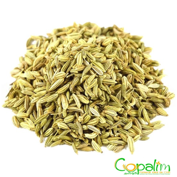 GRAIN D'ANIS ROUMI ARAOUAA 500GR