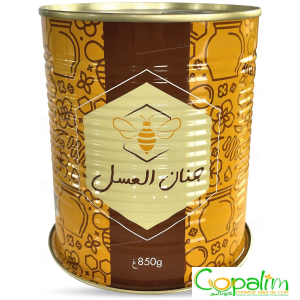 MIEL TOUTES FLEURS JNAN AL ASSAL 850GR