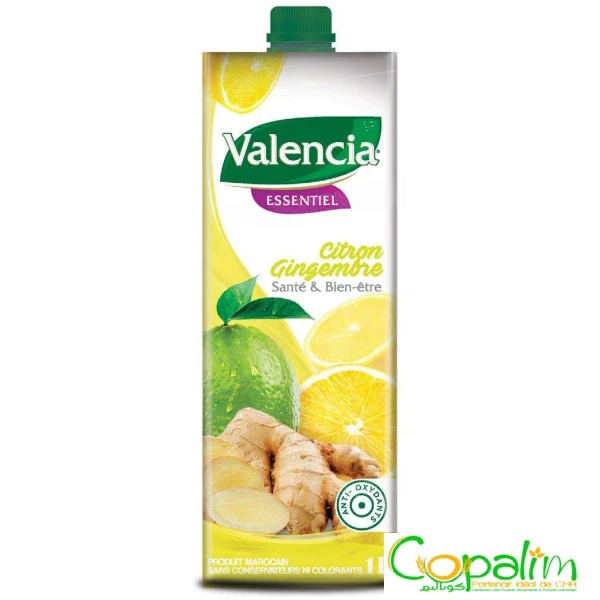 BOISSON CITRON GINGEMBRE VALENCIA 1L
