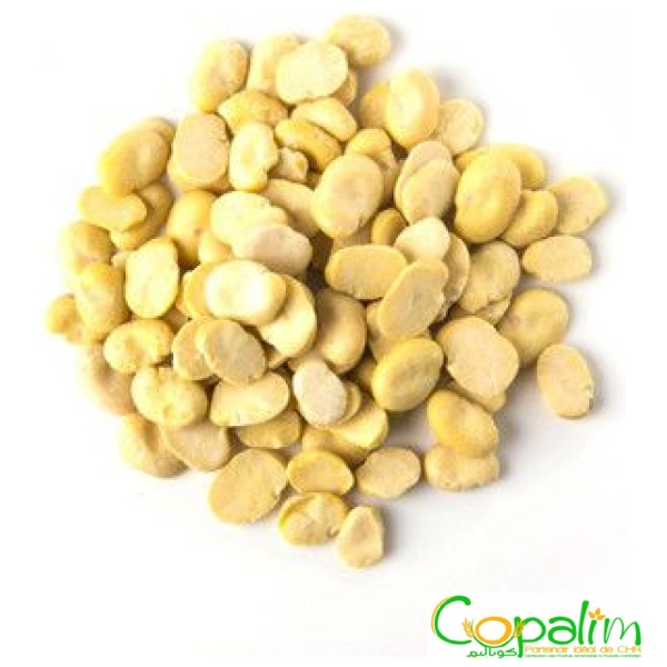 FÈVE SÉCHÉ CHADIA 1KG