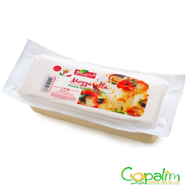 MOZZARELLA BLOC LE BERGER 1KG
