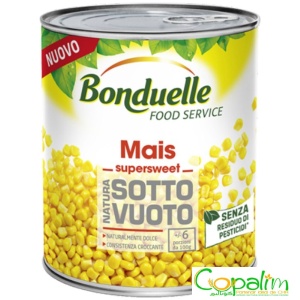 MAIS EN GRAINS SANS SUCRES AJOUTES BONDUELLE 600GR