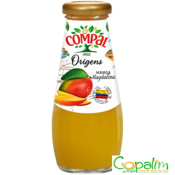 NECTAR DE MANGUE COMPAL 200ML
