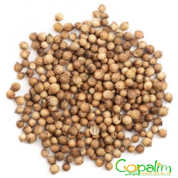 CORIANDRE EN GRAIN ARAOUAA 500GR