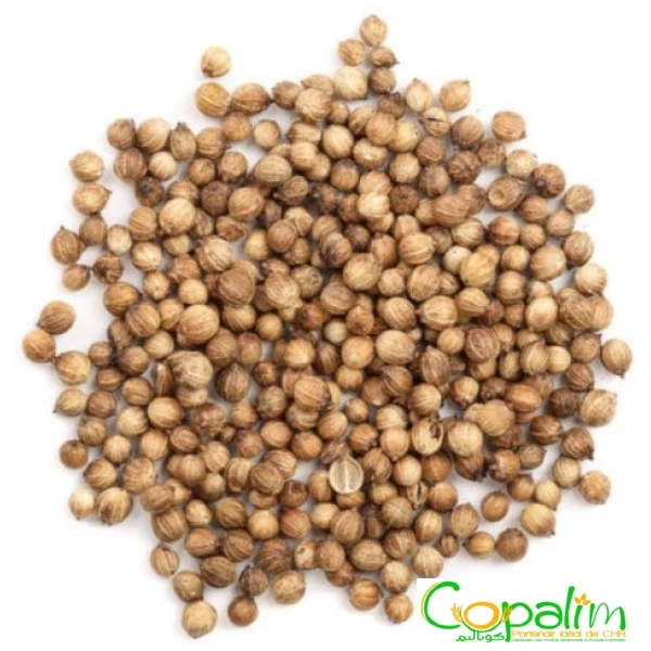 CORIANDRE EN GRAIN ARAOUAA 500GR