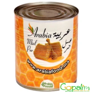 MIEL PUR ARABIA 800GR