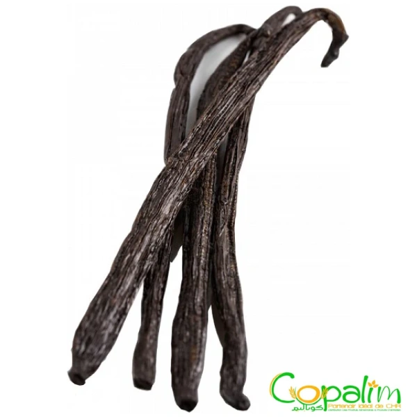 GOUSSES DE VANILLE BOURBON ECOMAB 125GR