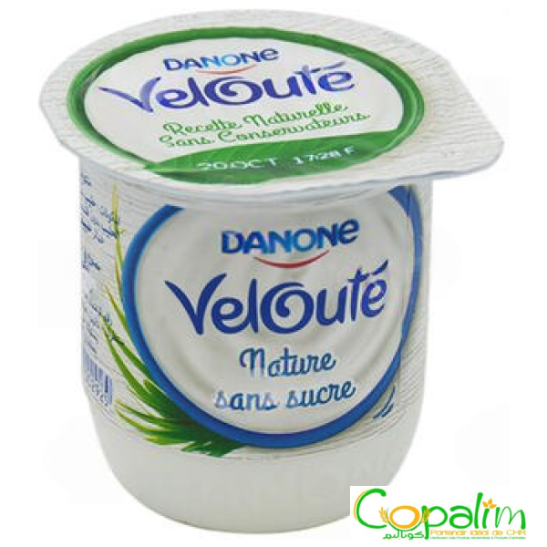 YAOURT DANONE VARIÉE 110GR